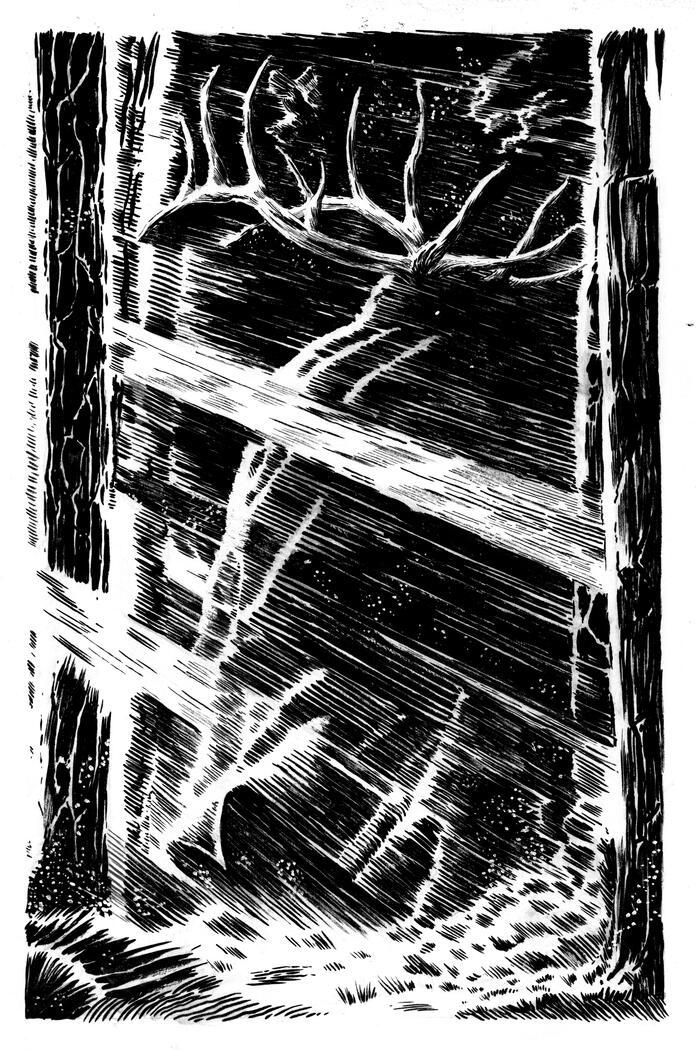 A glimpse of the King of the Forest, Ink on Watercolor Paper A glimpse of the King of the Forest, Ink on Watercolor Paper
